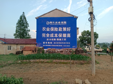 休宁墙体广告的优劣势你知道吗?